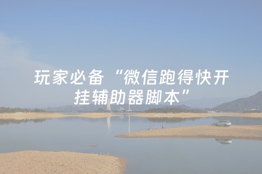 玩家必备“微信跑得快开挂辅助器脚本”（开挂辅助脚本)