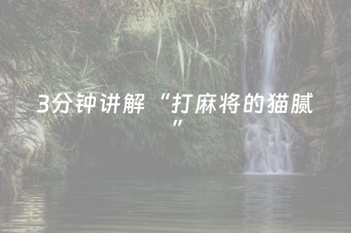 3分钟讲解“打麻将的猫腻”（辅助器通用版)