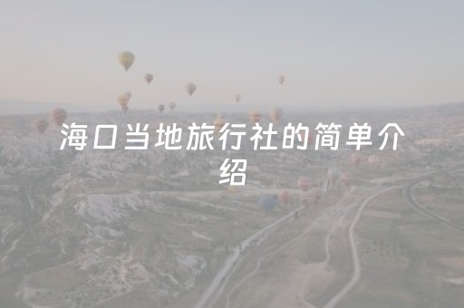 海口当地旅行社的简单介绍