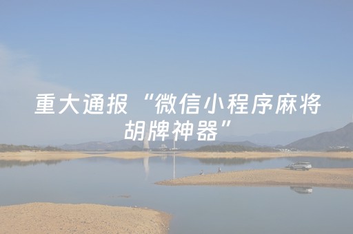 重大通报“微信小程序麻将胡牌神器”（AI辅助胡牌规则)