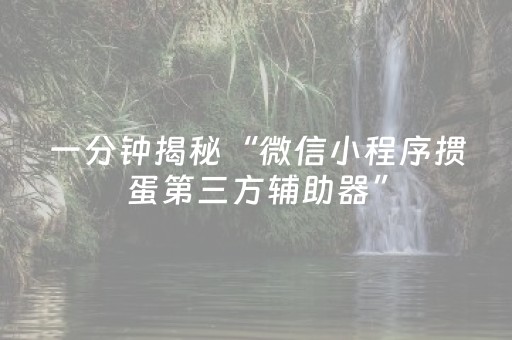 一分钟揭秘“微信小程序掼蛋第三方辅助器”（插件可信吗)