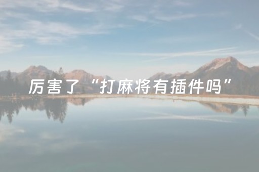 厉害了“打麻将有插件吗”（透明挂辅助器)