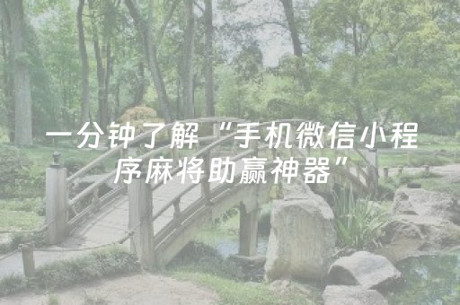 一分钟了解“手机微信小程序麻将助赢神器”（免费专用神器)