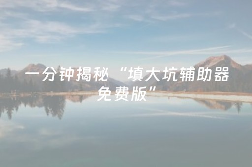 一分钟揭秘“填大坑辅助器免费版”（透明挂辅助器)