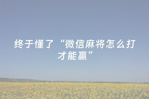 终于懂了“微信麻将怎么打才能赢”（为什么有人一直赢)