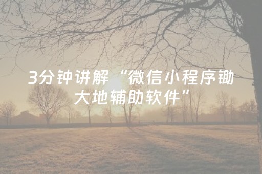 3分钟讲解“微信小程序锄大地辅助软件”（专用神器)