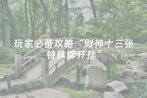 玩家必备攻略“财神十三张特殊牌开挂”（装挂怎么安装)