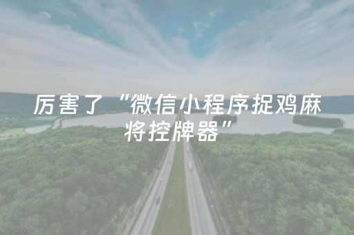 厉害了“微信小程序捉鸡麻将控牌器”（有没有猫腻)