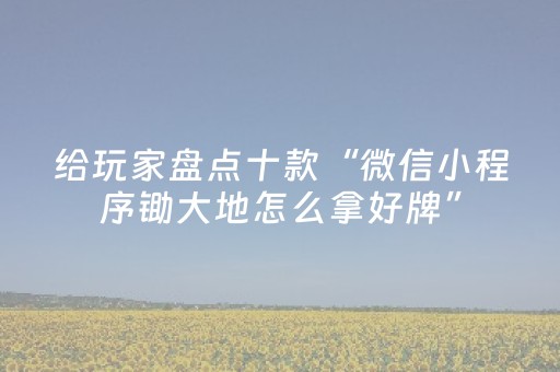 给玩家盘点十款“微信小程序锄大地怎么拿好牌”（确实有插件吗)