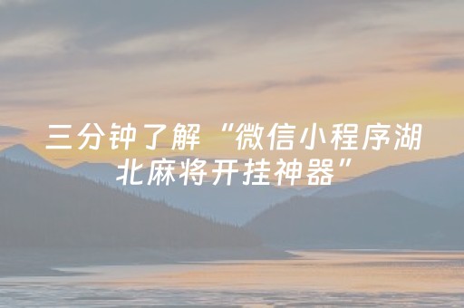 三分钟了解“微信小程序湖北麻将开挂神器”（助赢神器)