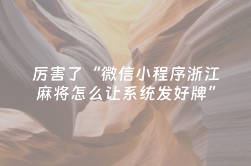 厉害了“微信小程序浙江麻将怎么让系统发好牌”（软挂神器)