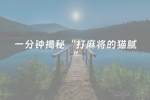 一分钟揭秘“打麻将的猫腻”（怎么增加胜率)