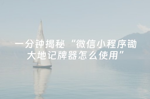 一分钟揭秘“微信小程序锄大地记牌器怎么使用”（软挂神器)