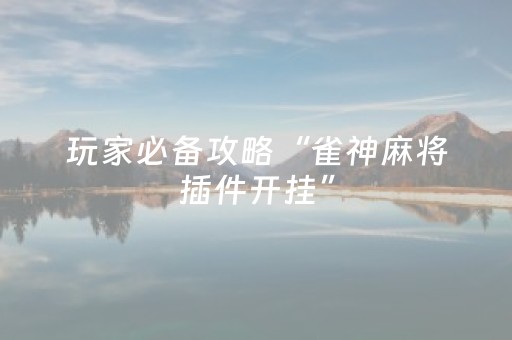 玩家必备攻略“雀神麻将插件开挂”（辅牌器插件购买)