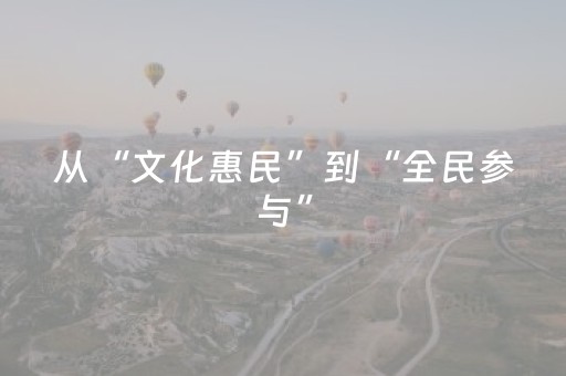 从“文化惠民”到“全民参与”