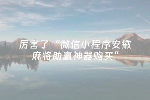 厉害了“微信小程序安徽麻将助赢神器购买”（输赢有什么规律)