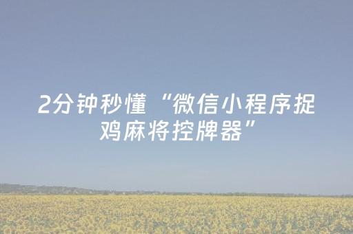 2分钟秒懂“微信小程序捉鸡麻将控牌器”（控牌器)