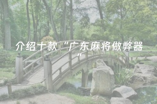 介绍十款“广东麻将做弊器”（攻略插件)
