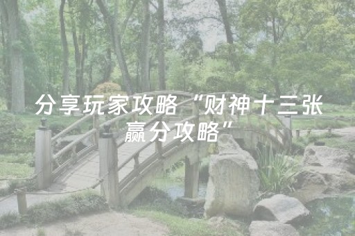 分享玩家攻略“财神十三张赢分攻略”（外辅工具)