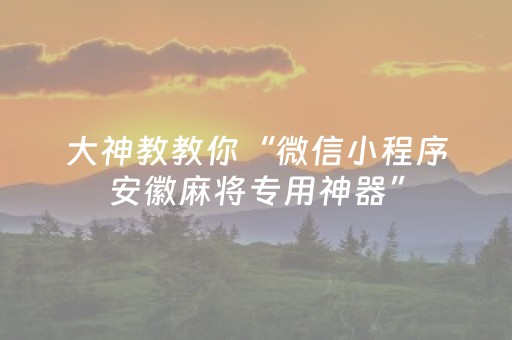 大神教教你“微信小程序安徽麻将专用神器”（软件出售)