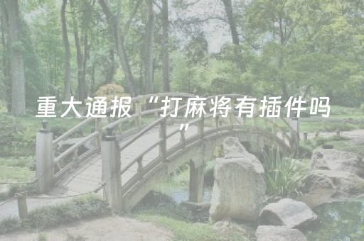 重大通报“打麻将有插件吗”（辅助器下载)