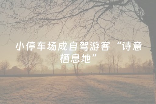 小停车场成自驾游客“诗意栖息地”