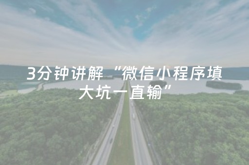 3分钟讲解“微信小程序填大坑一直输”（辅助器插件)