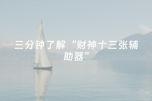 三分钟了解“财神十三张辅助器”（软件出售)