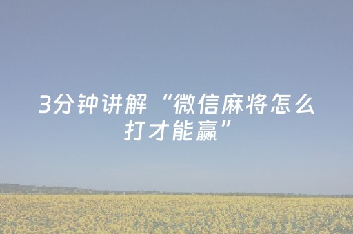3分钟讲解“微信麻将怎么打才能赢”（挂件神器)