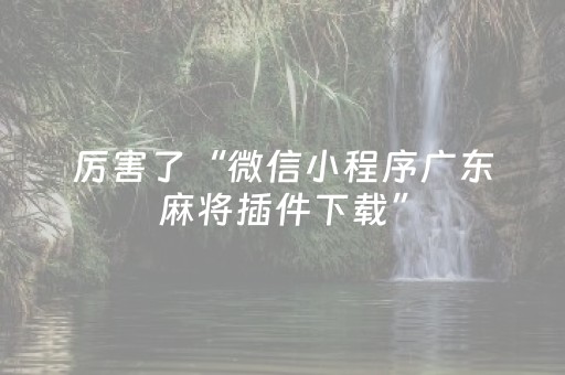 厉害了“微信小程序广东麻将插件下载”（软挂神器)