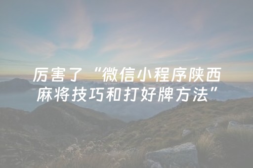 厉害了“微信小程序陕西麻将技巧和打好牌方法”（是否能开挂)