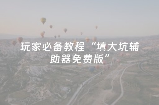 玩家必备教程“填大坑辅助器免费版”（专用神器)