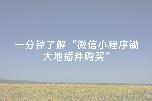 一分钟了解“微信小程序锄大地插件购买”（助赢神器购买)