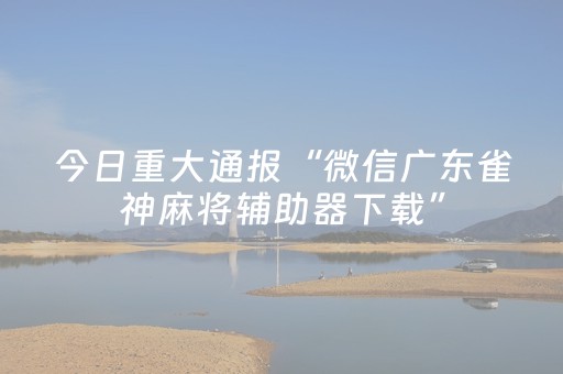今日重大通报“微信广东雀神麻将辅助器下载”（充值会提高胜率么)