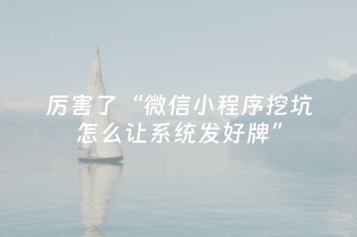 厉害了“微信小程序挖坑怎么让系统发好牌”（辅助器下载)