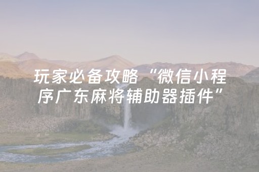 玩家必备攻略“微信小程序广东麻将辅助器插件”（开挂辅助器脚本)