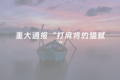 重大通报“打麻将的猫腻”（免费专用神器)