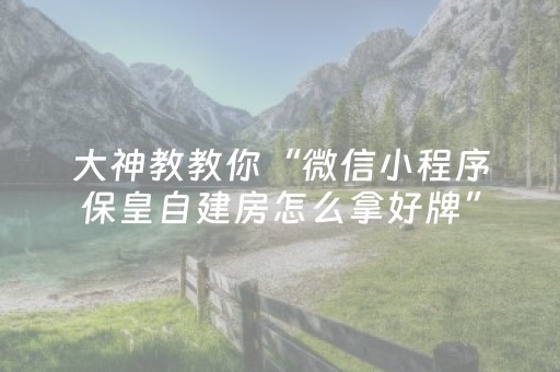 大神教教你“微信小程序保皇自建房怎么拿好牌”（为什么有人一直赢)