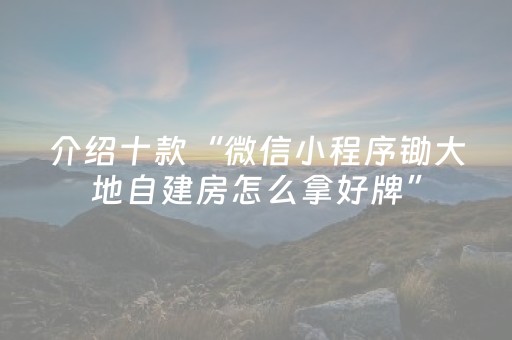 介绍十款“微信小程序锄大地自建房怎么拿好牌”（开挂辅助脚本)