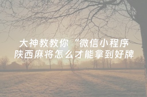 大神教教你“微信小程序陕西麻将怎么才能拿到好牌”（专用神器下载)