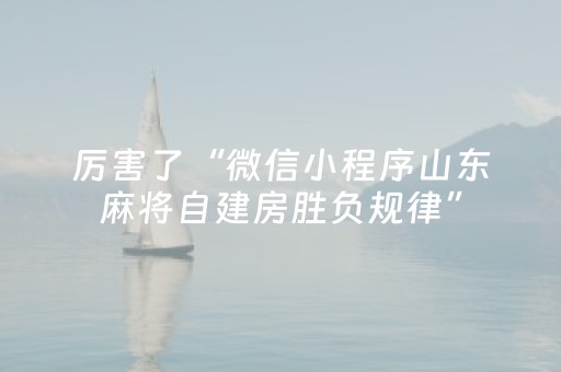 厉害了“微信小程序山东麻将自建房胜负规律”（软挂神器)
