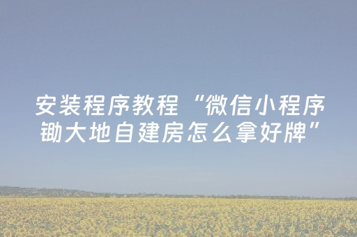 安装程序教程“微信小程序锄大地自建房怎么拿好牌”（有什么诀窍)