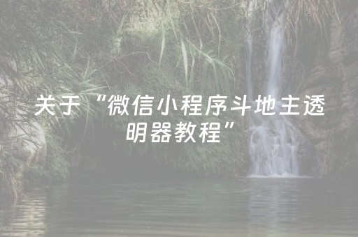 关于“微信小程序斗地主透明器教程”（必赢神器)