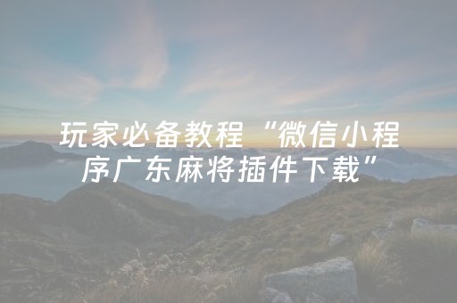 玩家必备教程“微信小程序广东麻将插件下载”（控牌神器)