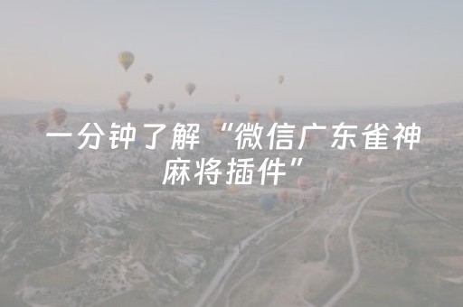 一分钟了解“微信广东雀神麻将插件”（开挂辅助器插件)