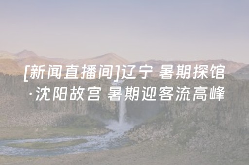 [新闻直播间]辽宁 暑期探馆·沈阳故宫 暑期迎客流高峰 7月客流创新高