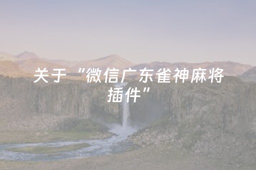 关于“微信广东雀神麻将插件”（自建房胜负规律)