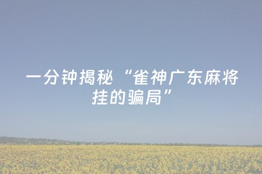 一分钟揭秘“雀神广东麻将挂的骗局”（怎么能让牌好一点)