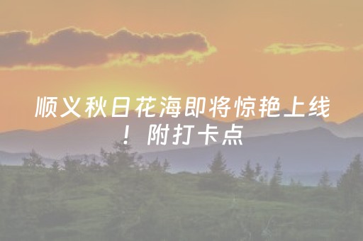 安装教程“微信小程序跑得快如何让系统发好牌”（辅助器下载)