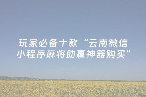 玩家必备十款“云南微信小程序麻将助赢神器购买”（AI辅助胡牌规则)